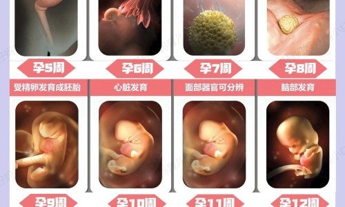 血燥吃中药网 :分享血燥有什么中药可以吃-血燥吃中药多久见效知识